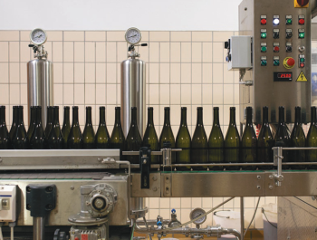 Showcasing an enhanced bottling process, featuring top-quality wine and freshly cleaned bottles, ensuring premium product delivery.