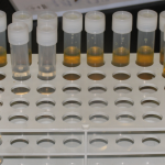 Image depicting advanced cleaning equipment by Duplex Cleaning Machines, designed for the stringent hygiene demands of pharmaceutical facilities.