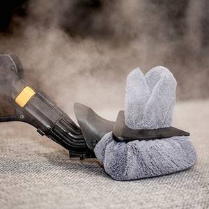 Duplex steam cleaning technology targeting and eliminating bed bugs at all life stages without the use of chemicals.