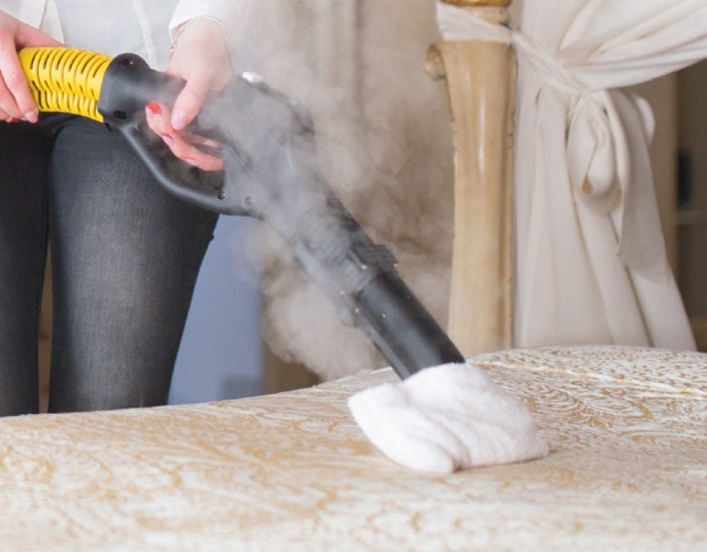 Entrepreneurs launching a mattress cleaning service with Duplex Cleaning Machines' advanced technology.