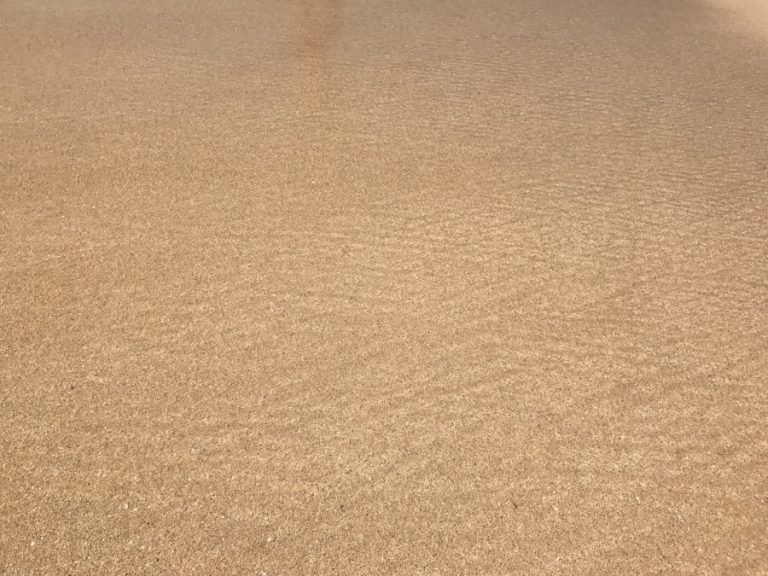 Photo Professional Carpet Cleaner machine