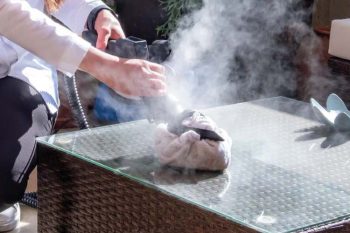 Reduce chemicals use with superheated dry steam vapour that decontaminates bacterial surfaces without harsh agents